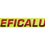 logo-eficalu